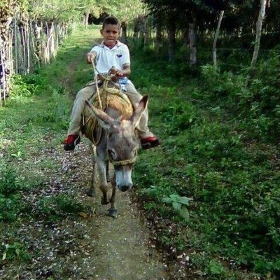 Profile Picture of Felix Jose Almanza (@FelixJoseAlman6) on Twitter