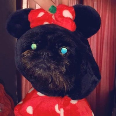 Profile Picture of Blakelessells (@BlakeLessells) on Twitter