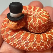 Profile Picture of Lillian Castaneda (@Lilliancastaneda) on Youtube