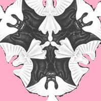 Profile Picture of John Webelevate (@john.webelevate) on Facebook