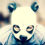 Profile Picture of Alexander Brack (@alebrander) on Instagram