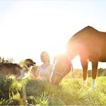 Profile Picture of Julia, Colin & Festino (@verfuchst_) on Instagram