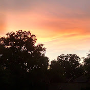 Profile Picture of Catherine Fletcher (@catherinefletcher3385) on Youtube