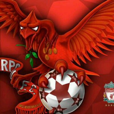 Profile Picture of Heather Ford (@Kopite85) on Twitter