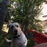 Profile Picture of Brent Harding (@brentmook) on Instagram