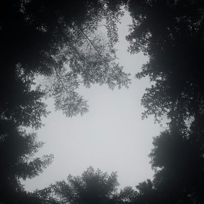 Profile Picture of Jo Angus (@JoAngus10) on Twitter