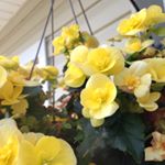 Profile Picture of Isabel Fisher (@isabel.grace.photography) on Instagram