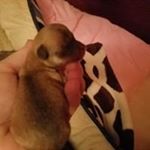 Profile Picture of Robin Tapper (@robin.tapper.56) on Instagram