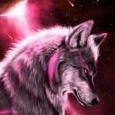 Profile Picture of Adam Sauceda (@adam_sauceda) on Twitter