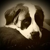 Profile Picture of Jessica Hilbert (@jessica-hilbert-4) on Quora