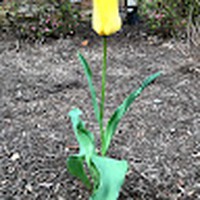 Profile Picture of Jean Lancellotti (@jean-lancellotti-1) on Quora