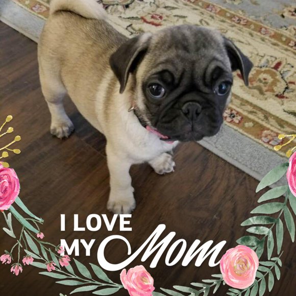 Profile Picture of Karen Noorda (@karenno) on Poshmark