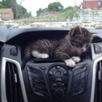 Profile Picture of Ming-tzu Chou (@ming-tzu-chou) on Quora