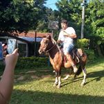 Profile Picture of Marco Aurélio Lúcio Da Silva (@marcoaurelioluciodasilva) on Instagram