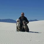Profile Picture of Brian Snyder (@bsnyder4208) on Instagram