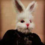 Profile Picture of Sean Salisbury (@darkloshi) on Instagram