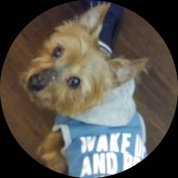 Profile Picture of !anna Weinberger (@quality4allure) on Poshmark