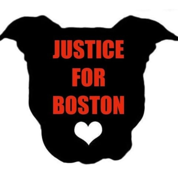 Profile Picture of Terry Pickard (@terrysgrooming) on Poshmark