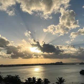 Profile Picture of Iris Pittman (@pittmaniris) on Instagram