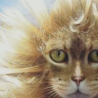 Profile Picture of Hailey Ray (@hailey-ray-14) on Quora