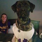 Mason Hoffman - Instagram Profile Picture of Mason Hoffman (@masonhoff18) on Instagram