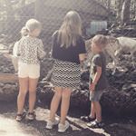 Profile Picture of Lisa B. (@lisaronja_bertsch) on Instagram