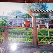 Profile Picture of Tosha Williams (@toshawilliams3137) on Youtube