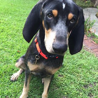 Profile Picture of Tristan Gavin (@tristan.gavin.10) on Facebook