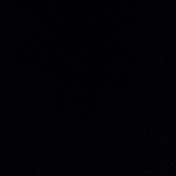 Profile Picture of Aaron Dunlap (@acedunlapify) on Youtube