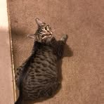 Jonathan Hunstad - Facebook Profile Picture of Jonathan Hunstad (@Jonathan-Hunstad) on Facebook