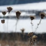 Lisa Lenarz - Instagram Profile Picture of Lisa Lenarz (@lmlenarz) on Instagram