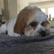 Profile Picture of Michael Clayton (@michaelclayton8283) on Youtube