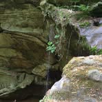 Profile Picture of Hubert Humphries (@hubert.humphries.9) on Facebook