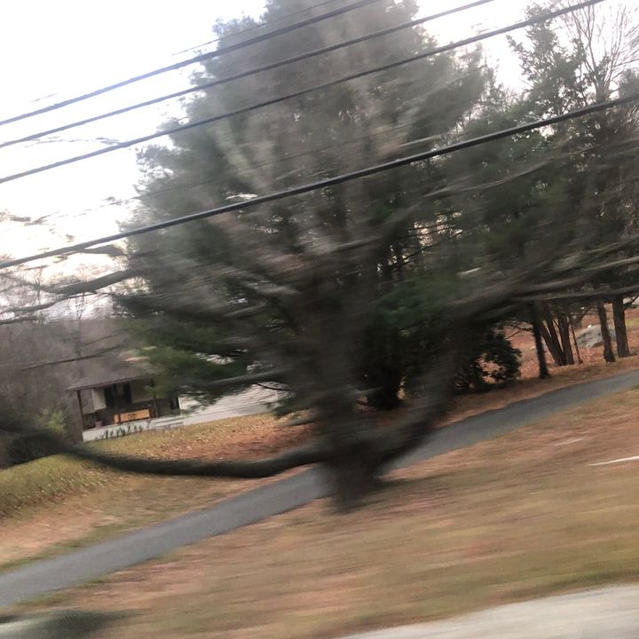 Benjamin Coggeshall - Tiktok Profile Picture of Benjamin Coggeshall (@benjamin.coggeshall) on Tiktok