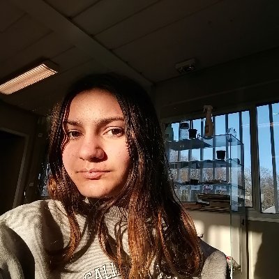 Profile Picture of Alice Picard (@AlicePicard5) on Twitter