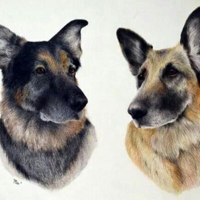 Profile Picture of Iain Hastie (@Iainfidolphi) on Twitter