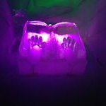 Profile Picture of Günter Pirklbauer (@gunter.pirklbauer) on Instagram