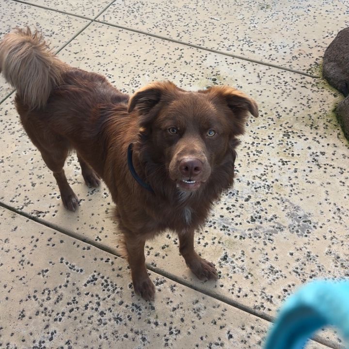 Profile Picture of Jeremy Kreisel (@jeremykreisel) on Tiktok