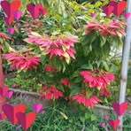 Profile Picture of Nene Herda Quezon Jasmin (@nene.herda.quezon.jasmin) on Facebook