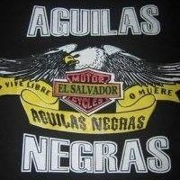 Profile Picture of Daniel Arbelaes (@aguilasternegra) on Pinterest