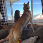 Profile Picture of Dawn (@bryley9) on Instagram