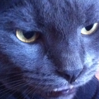 Michael Weiland - Twitter Profile Picture of Michael Weiland (@Michael_Soda) on Twitter