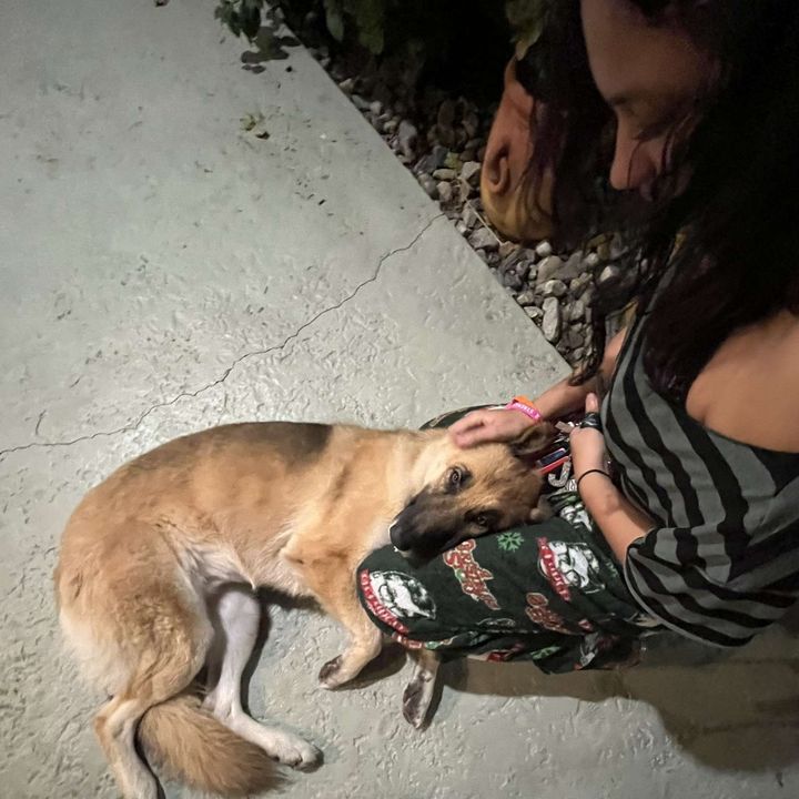 Profile Picture of Jenna¹⁶ (@jm.pascale) on Tiktok