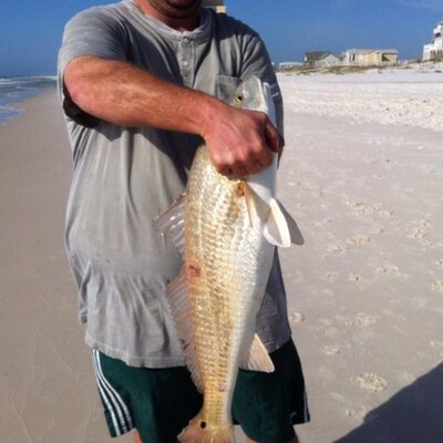 Profile Picture of Josh Rawlinson (@effrum34) on Twitter