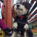 Profile Picture of Peter Dunkley (@peter_dunkley) on Instagram