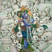 Profile Picture of Vanamali Das (@VanamaliDas482) on Youtube