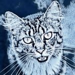 Profile Picture of Andre Duong (@omega_lmao) on Instagram