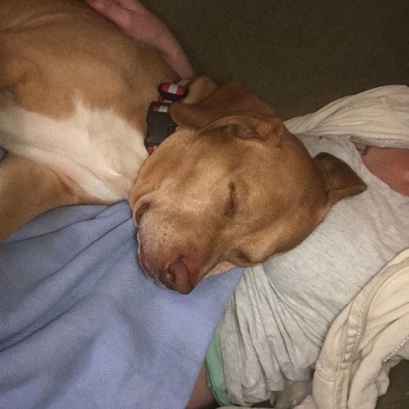 Profile Picture of Amanda Chambers (@rubyraerose) on Poshmark