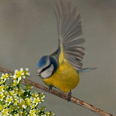 Matthew Laming - Twitter Profile Picture of Matthew Laming (@mlaming) on Twitter