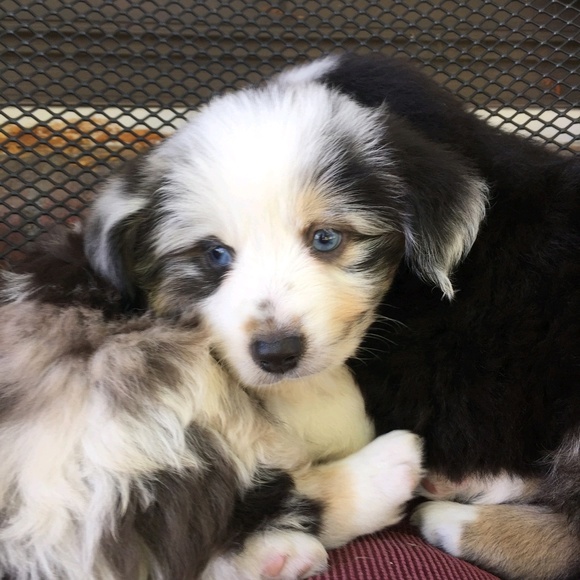 Profile Picture of Jesikka Sells (@cnjsells) on Poshmark